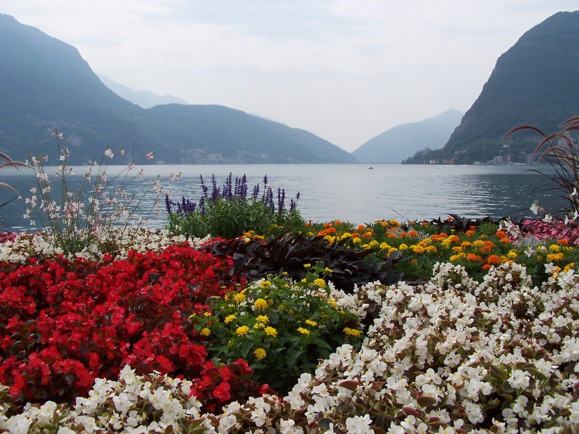 Swiss Trip 2005
